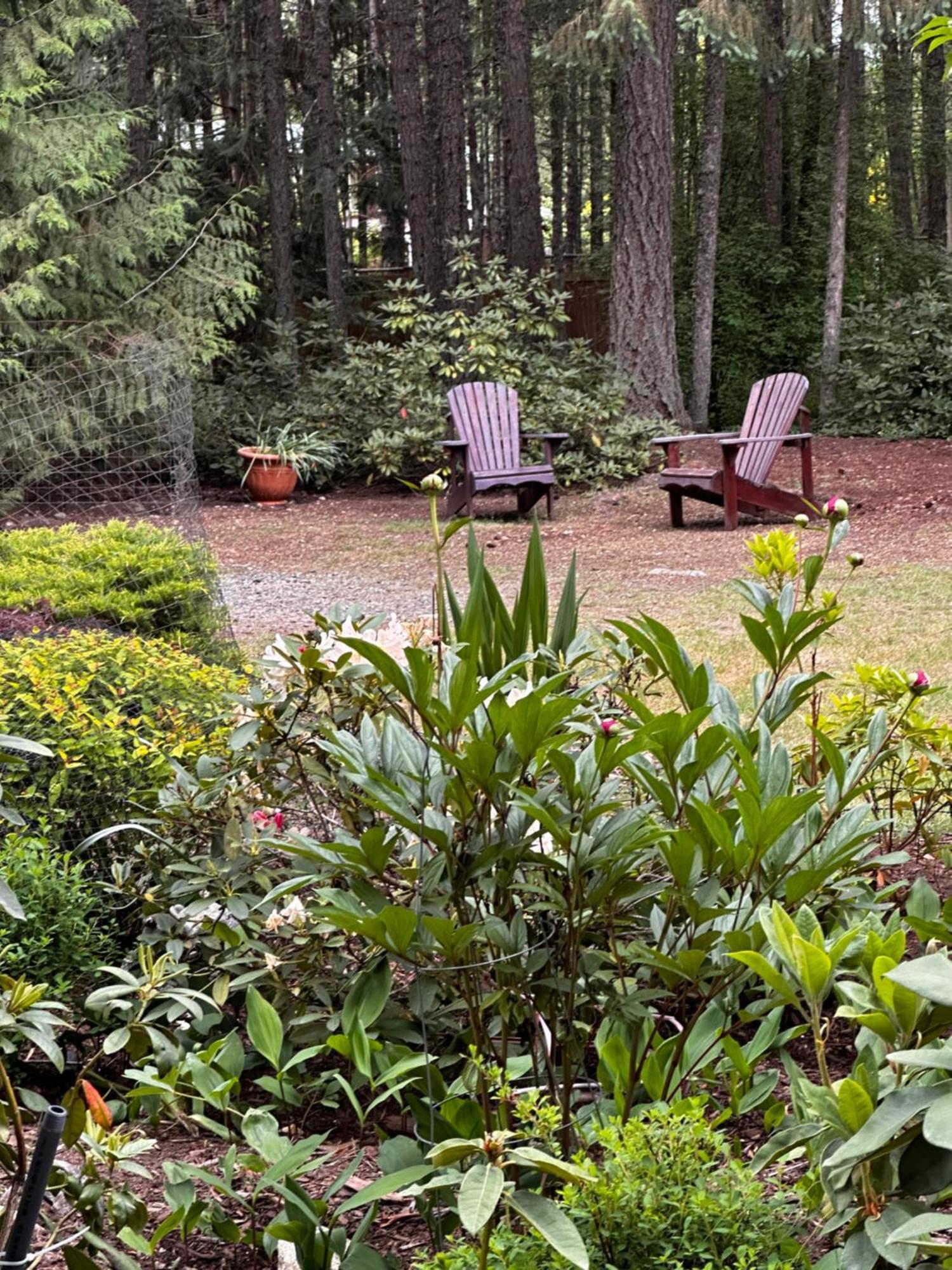Cedar Song B&B 팍스빌 외부 사진