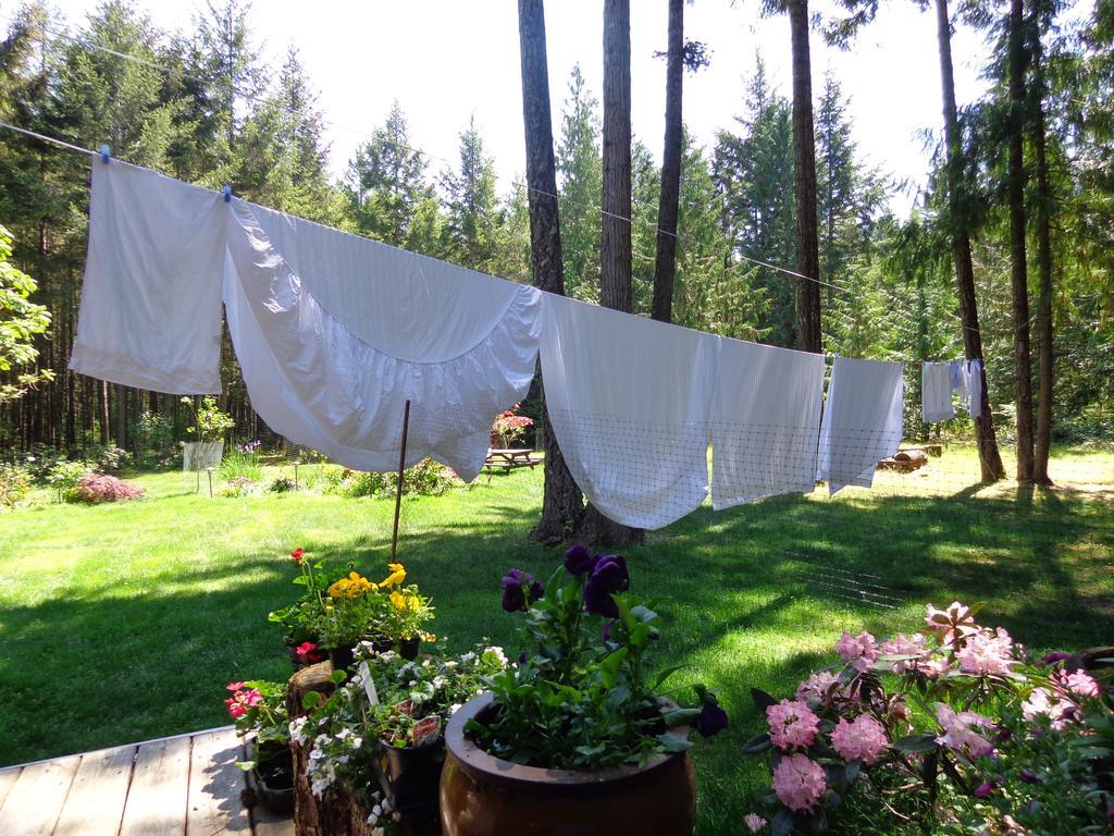 Cedar Song B&B 팍스빌 외부 사진