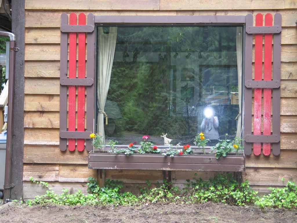 Cedar Song B&B 팍스빌 외부 사진